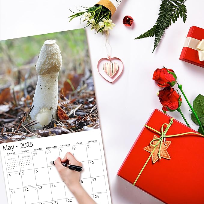 2025 Wall Calendar Funny Natures Dongs, January 2025 - December 2025, Funny Gag Gift for Adults, White Elephant Gift, 12 Months Organizer with D'ck Pics Nature Photos, 12" x 24" Opened