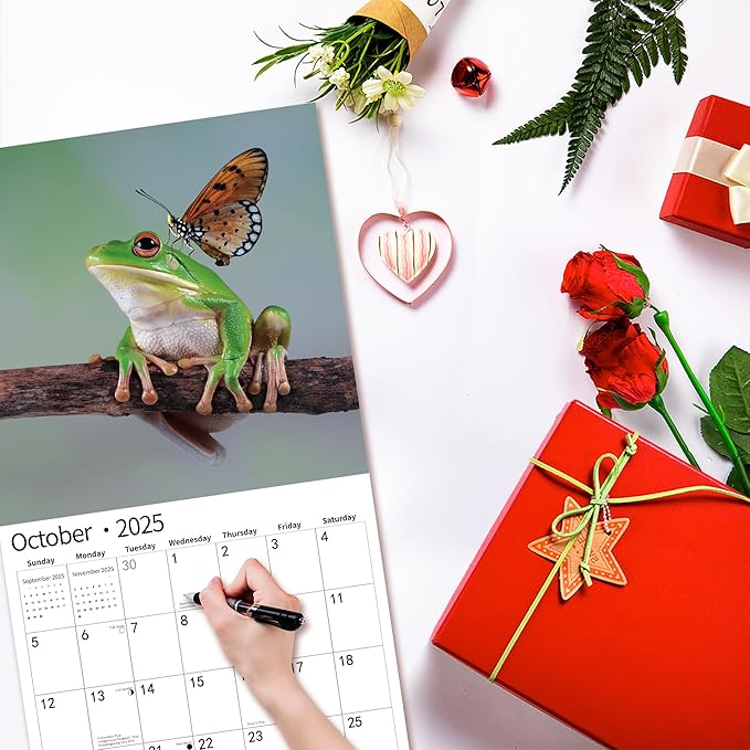 2025 Wall Calendar,Calendar 2025, January 2025 - December 2025, Wall Calendar Frog, 12" x 24" Opened,Full Page Months Thick & Sturdy Paper for Calendar Organizing & Planning