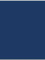 LUXPaper 11" x 17" Cardstock | Tabloid Size | Navy Blue | 100lb. Cover | 50 Qty