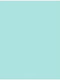 LUXPaper 11" x 17" Cardstock | Tabloid Size | Seafoam Blue | 100lb. Cover | 50 Qty