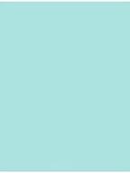 LUXPaper 11" x 17" Cardstock | Tabloid Size | Seafoam Blue | 100lb. Cover | 50 Qty