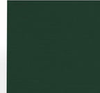 LUXPaper 8.5" x 11" Cardstock | Letter Size | Green Linen | 100lb. Cover (183lb. Text) | 1,000 Qty
