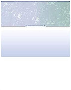 Compuchecks Check on Top Blank Check Paper - 500 Pack, Quick-Books & Laser Printer Compatible - Security Business Checks with Voucher - 8.5" x 11" Blue/Green Prismatic