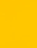 LUXPaper 8.5" x 11" Paper | Letter Size | Sunflower Yellow | 80lb. Text | 50 Qty
