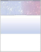 Business Voucher Check Stock - Versacheck Refills - 500 Sheets, Check on Top, Blue/Red Prismatic