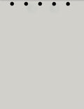 Limited Papers(TM) Writing and Copy Paper, Variation of Colors 8.5" x 11", 5 Hole Top-Punched, 20 Pound Text, 500 Sheets Per Ream. (5000, Grey)