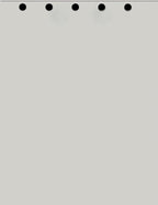 Limited Papers(TM) Writing and Copy Paper, Variation of Colors 8.5" x 11", 5 Hole Top-Punched, 20 Pound Text, 500 Sheets Per Ream. (500, Grey)