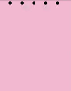 Limited Papers(TM) Writing and Copy Paper, Variation of Colors 8.5" x 11", 5 Hole Top-Punched, 20 Pound Text, 500 Sheets Per Ream. (5000, Pink)