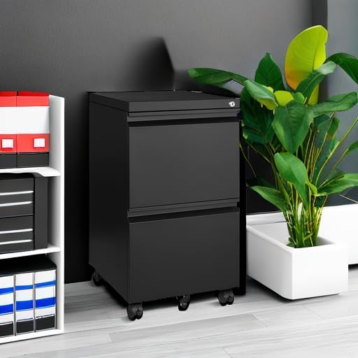 2 Drawers File Cabinet with Lock Metal Vertical File Cabient with Wheels Mobile File Cabinet for Office Home Legal/Letter/a4 Size Fully Assembled