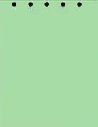 Limited Papers(TM) Writing and Copy Paper, Variation of Colors 8.5" x 11", 5 Hole Top-Punched, 20 Pound Text, 500 Sheets Per Ream. (5000, Green)