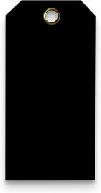Tags 4 Less 15 Mil Waterproof Plastic Tags, Pack of 100 – 2” x 4” Heavy Duty Plastic Tags for Labeling, Outdoor Tagging, Equipment Labeling, Luggage, Valves & More (Black)