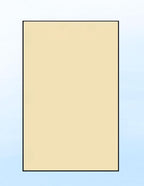 Limited Papers (TM) Colored Copy Paper – 24lb/60lb Text, 11"x17", Tabloid Size, 500 Sheets Per Ream. (5000, Tan)