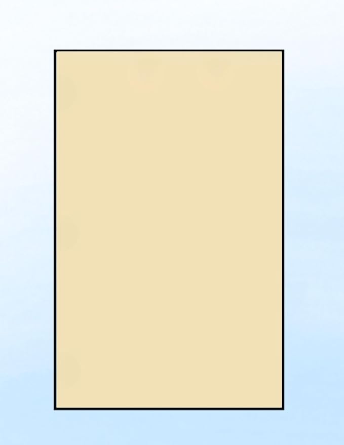 Limited Papers (TM) Colored Copy Paper – 24lb/60lb Text, 90 gsm, 11"x17", Tabloid Size, 500 Sheets Per Ream. (500, Tan)
