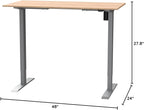 FLEXISPOT EN1 Bamboo Standing Desk, 48 x 24 Inches Whole-Piece Electric Height Adjustable Desk (Silver Frame + Bamboo Top, 2 Packages)