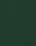 LUXPaper 8.5" x 11" Cardstock | Letter Size | Green Linen | 100lb. Cover (183lb. Text) | 250 Qty