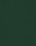 LUXPaper 8.5" x 11" Cardstock | Letter Size | Green Linen | 100lb. Cover (183lb. Text) | 1,000 Qty