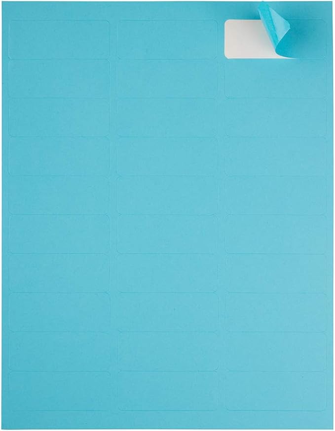 JAM PAPER Return Address Labels - Standard Mailing - 1 x 2 5/8 - Blue - 120 Shipping Labels/Pack