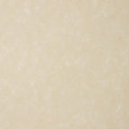 LUXPaper 8.5" x 11" Paper | Letter Size | Cream Parchment | 60lb. Text | 1,000 Qty