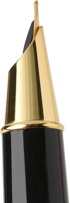 Dryden Designs Fountain Pen - Medium and Fine Nibs - Metallic Silver - Includes 24 Ink Cartridges - 12 Black and 12 Blue.