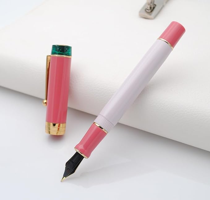 JINHAO 100 Fountain Pen with Ink Converter (Medium Nib 0.7mm, Guava)