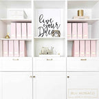 BLU MONACO Set of 6 Foldable Pink Magazine Holder with Gold Label Holders – Cute Stylish Magazine Storage for Shelves, and Closets – Book Bins, File Desk Organizer, and Document Storage