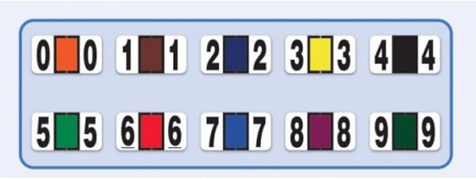File Right Number Labels Roll – Color-Coded Numeric Filing Labels, 1-5/8" × 7/8" Laminated Self-Adhesive File Folder Numbers for, Office Filing Systems, Automotive Records – Roll #6, 3 Roll