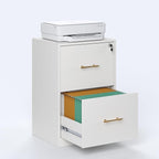 GFGWXW 2 Drawer Vertical File Cabinet with Lock, Suitable for Letter/A4/F4/Legal Size Hanging Files,Small Wood Filing Storage Cabinets Printer Stand for Home Office,White