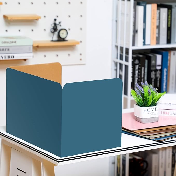 24 Pack Privacy Folders Boards for Student Desks Classroom Desk Divider Desk Privacy Panel Study Reduces Distractions Privacy Boards for Student Teacher Supplies, 19 x 12 Inch (Fresh Style)