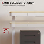 Standing Desk with Drawer, Electric Height Adjustable Home Office Desk with Storage & USB Ports, 48 inch Bamboo Texture Tabletop/White Frame