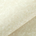 Best Paper Greetings Parchment Paper - 8.5 x 11 In, Ivory, 90 GSM, 96 Sheets - Resume & Certificate Paper - Printer Stock for Awards & Diplomas