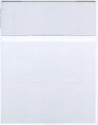Compuchecks Top Blank Check Paper - 250 Pack, Quick-Books & Laser Printer Compatible - Security Business Checks with Voucher - 8.5" x 11" Platinum Pinstripe