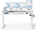 FEZIBO 60 x 24 Inch Height Adjustable Electric Standing Desk with Double Drawer, Stand up Home Office Computer Desk with 4 Height-Adjustable Feets & 2 Hooks, White