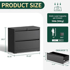 2 Drawer Lateral File Cabinet with Lock, Metal File Cabinets for Home Office, Office Furniture for Organization Hanging Legal/Letter/A4, Metal Filing Cabinet Storage Cabinet, Require Assembly, Black