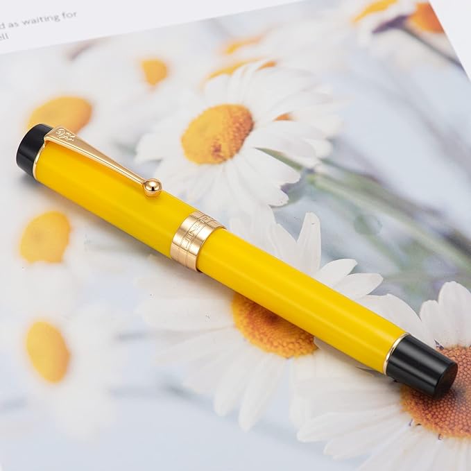 Jinhao 100 Fountain Pen Celluloid Classic Style, #6 Nib Smooth Writing Instrument with Refillable Converter and Pen Case Set