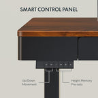 FLEXISPOT Q5 Standing Desk with Drawer, 48 x 24 Inch Electric Adjustable Height Stand Up Desk with Storage Organizer, Whole Piece Wooden Desktop for Home, Office, Computer Workstation, Dark Walnut