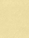 LUXPaper 8.5" x 11" Paper | Letter Size | Gold Parchment | 60lb. Text | 50 Qty