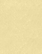 LUXPaper 8.5" x 11" Paper | Letter Size | Gold Parchment | 60lb. Text | 50 Qty