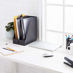 Amazon Basics Plastic Desk Organizer - Vertical Magazine and File Holder, Black, 2-Pack