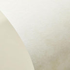 Best Paper Greetings Parchment Diploma Paper - 96 Sheets, 8.5 x 11 In, Cream, 90 GSM - Vintage Textured Certificate Paper for Printing Diplomas, Resumes & Awards