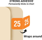 2025 Year Labels, Doctor Stuff 2025 Chart Stickers, Orange/White Color Coded, Reynolds & Reynolds Style, USA Made Year Stickers for End Tab File Folders, 500/Roll, 1 Roll, 3/4" x 1-1/2"