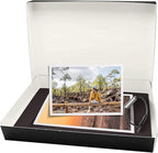 Lineco Museum Archival Storage Box, 16.75x20.75x3 in. Drop Front Design. Acid-Free with Metal Edge. Organize Photos, Pictures, Prints, Documents, Crafts, DIY. Black, 6 Pack