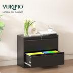 2 Drawer Lateral File Cabinet with Lock, Metal File Cabinets for Home Office, Office Furniture for Organization Hanging Legal/Letter/A4, Metal Filing Cabinet Storage Cabinet, Require Assembly, Black