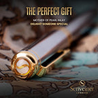 Scriveiner Silver Chrome Fountain Pen - Stunning Luxury Pen, Real Gold Finish Schmidt Gilded Nib (Medium), Best Pen Gift Set for Men & Women, Professional, Executive Office, Nice Pens
