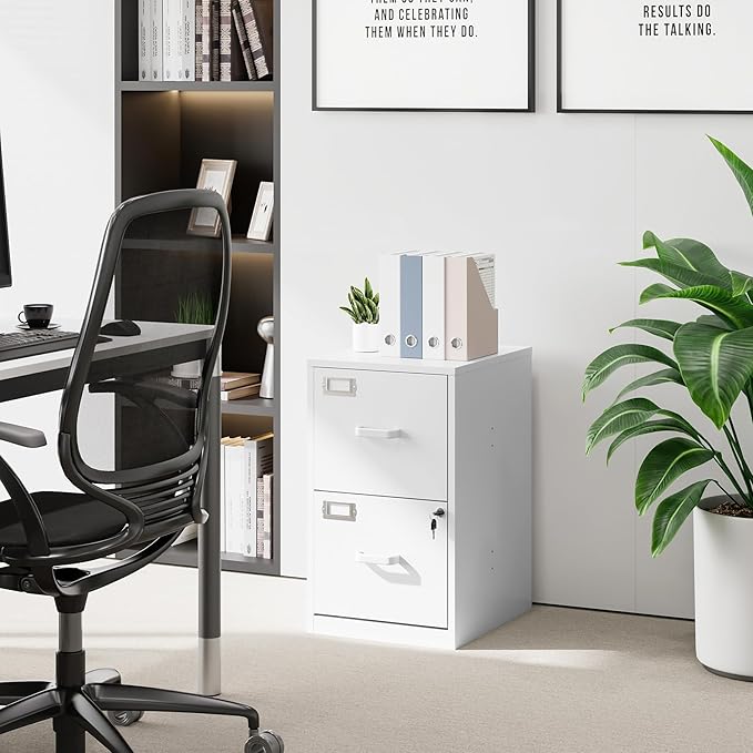 2 Drawer File Cabinet with Lock Vertical Filing Storage Office Home Steel Vertical File Cabinets for Letter Size File Cabinet Locked,Assembly Required