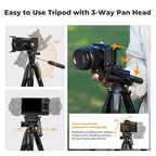 K&F Concept Camera Tripod, 68" Lightweight Portable Travel Outdoor DSLR Tripods for Camera Phone Video Recording Tripod Stand, Cellphone Clip for Smartphone Live Streaming Vlog S254A3+BV01