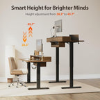 Agilestic Glass Standing Desk with Storage, 48 Inch Electric Adjustable Desk with Glass Shelf and Cable Management, Sit Stand Up Home Office Computer Table, Splice Board, Dark Walnut
