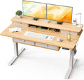 Kingant 55 x 30 Inch Electric Standing Desk with 4 Drawers, Adjustable Height Computer Desk for Home Office, Large Workstation Sit Stand Up Desk with Built-in USB A/C Charging Ports, Nature