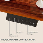 FLEXISPOT EN1 One-Piece Standing Desk with 1-Inch Thick Seamless Desktop, 48"x30" Electric Height Adjustable Desk for Home Office, Multi-Monitor Setups & Easy Assembly, Mahogany