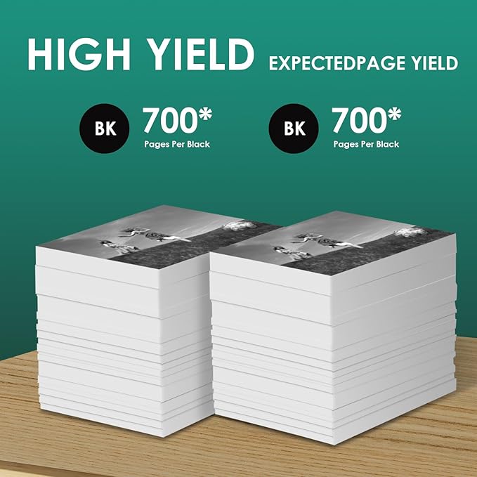 667XL 667 XL 667 Ink Cartridges Replacement for hp 667 Ink cartridges Black and Color Work for Deskjet Ink Advantage 1275 2375 2775, Deskjet Ink Advantage Plus 6075 6475 6476 (2 Black)