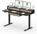 FLEXISPOT Q4 One-Piece Standing Desk with Rattan Drawers, 55 x 24 Inch Adjustable Height, Electric Stand Up Table with Monitor Shelf, Home Office Ergonomic Computer Desk with Memory Presets, Black